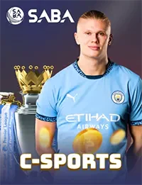 vin 88 csports