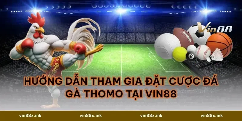 Hướng dẫn tham gia đặt cược đá gà Thomo tại VIN88