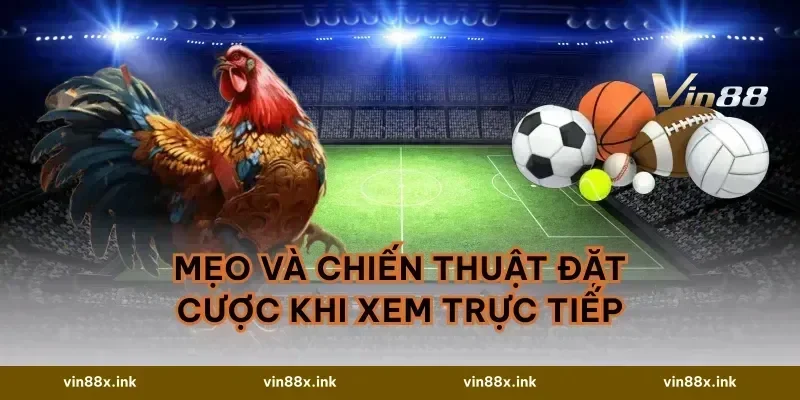 Mẹo và chiến thuật đặt cược khi xem trực tiếp