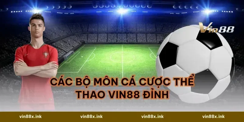 Các bộ môn cá cược thể thao vin88 đỉnh